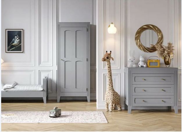 armoire parisienne grise